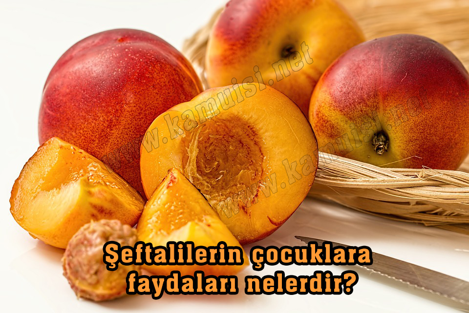 Şeftalilerin çocuklara faydaları nelerdir