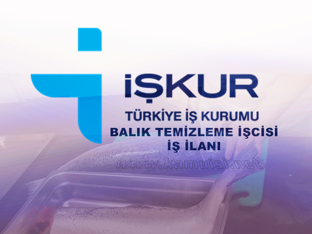 BALIK TEMİZLEME İŞCİSİ İŞ İLANI