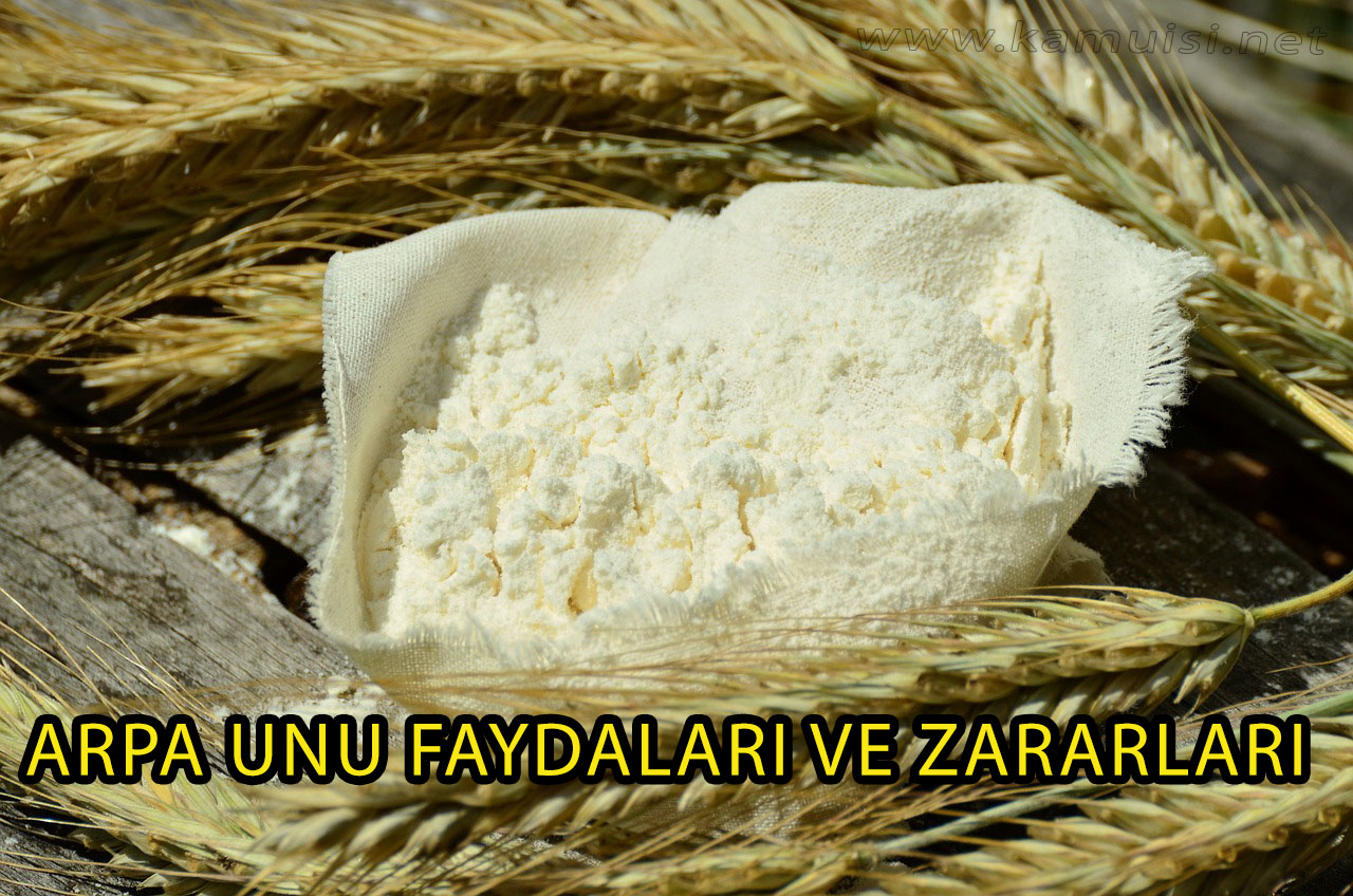 ARPA UNU FAYDALARI VE ZARARLARI